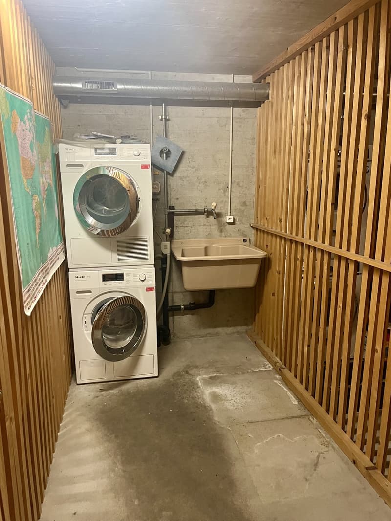 Charmante 4.5-Zimmerwohnung nahe Zihl zum Mieten (14)