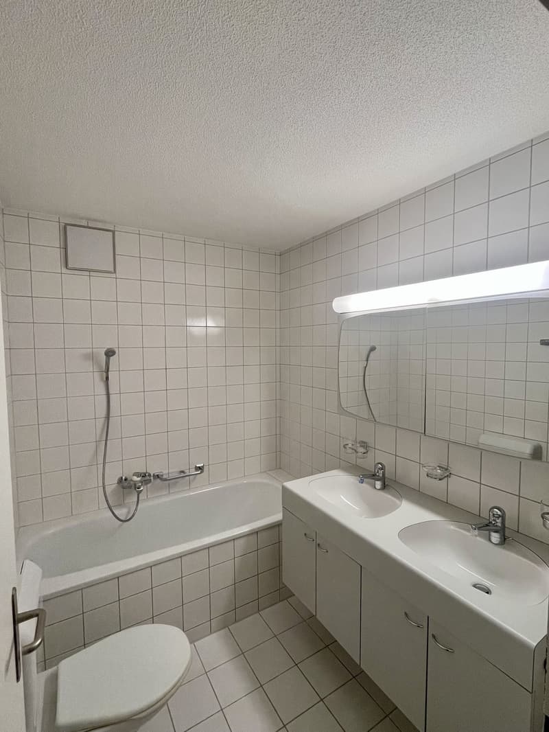 Charmante 4.5-Zimmerwohnung nahe Zihl zum Mieten (11)