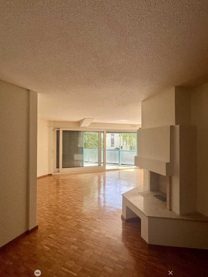 Charmante 4.5-Zimmerwohnung nahe Zihl zum Mieten (6)