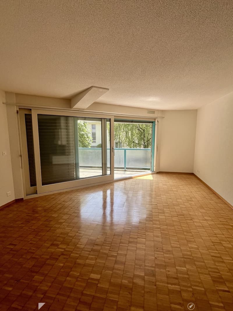 Charmante 4.5-Zimmerwohnung nahe Zihl zum Mieten (4)