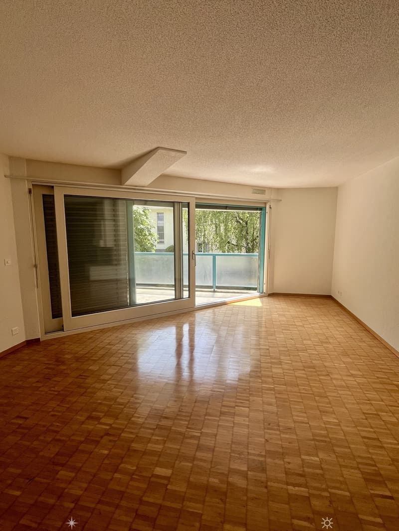 Charmante 4.5-Zimmerwohnung nahe Zihl zum Mieten (4)