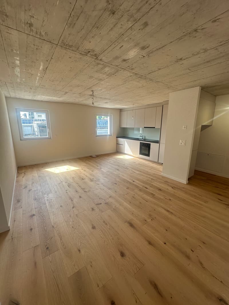 Neu ausgebaute 2.5-Zimmerwohnungen (3)