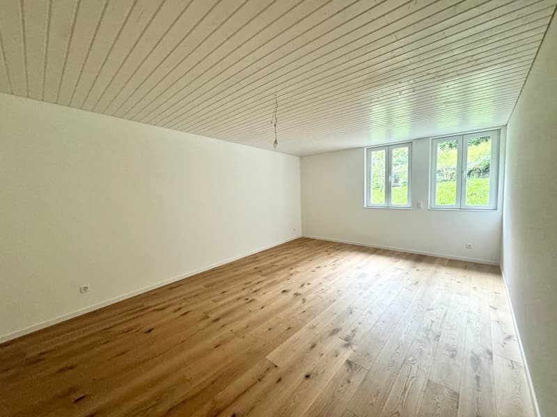 Neu ausgebaute 2.5-Zimmerwohnungen (9)