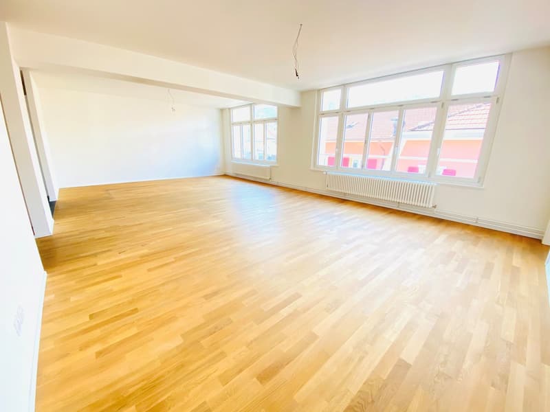 Grosszügige 2-Zimmer-Loft mit eigenem Waschturm (2)