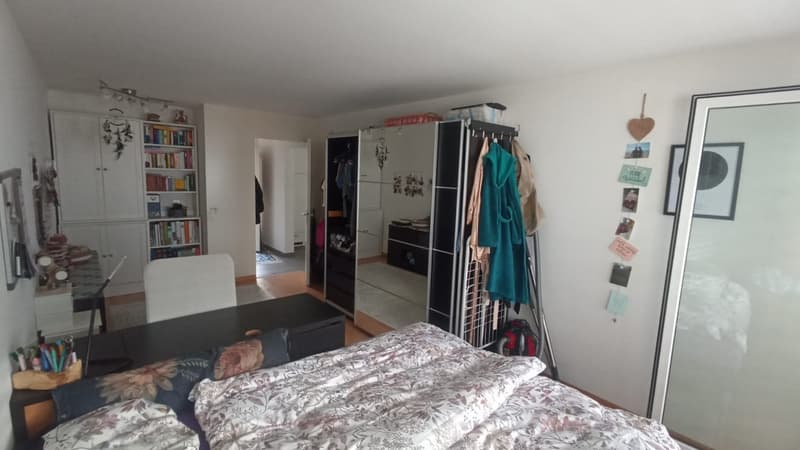 Bern, Marzili-Quartier, 2.5-Zi-Wohnung (9)
