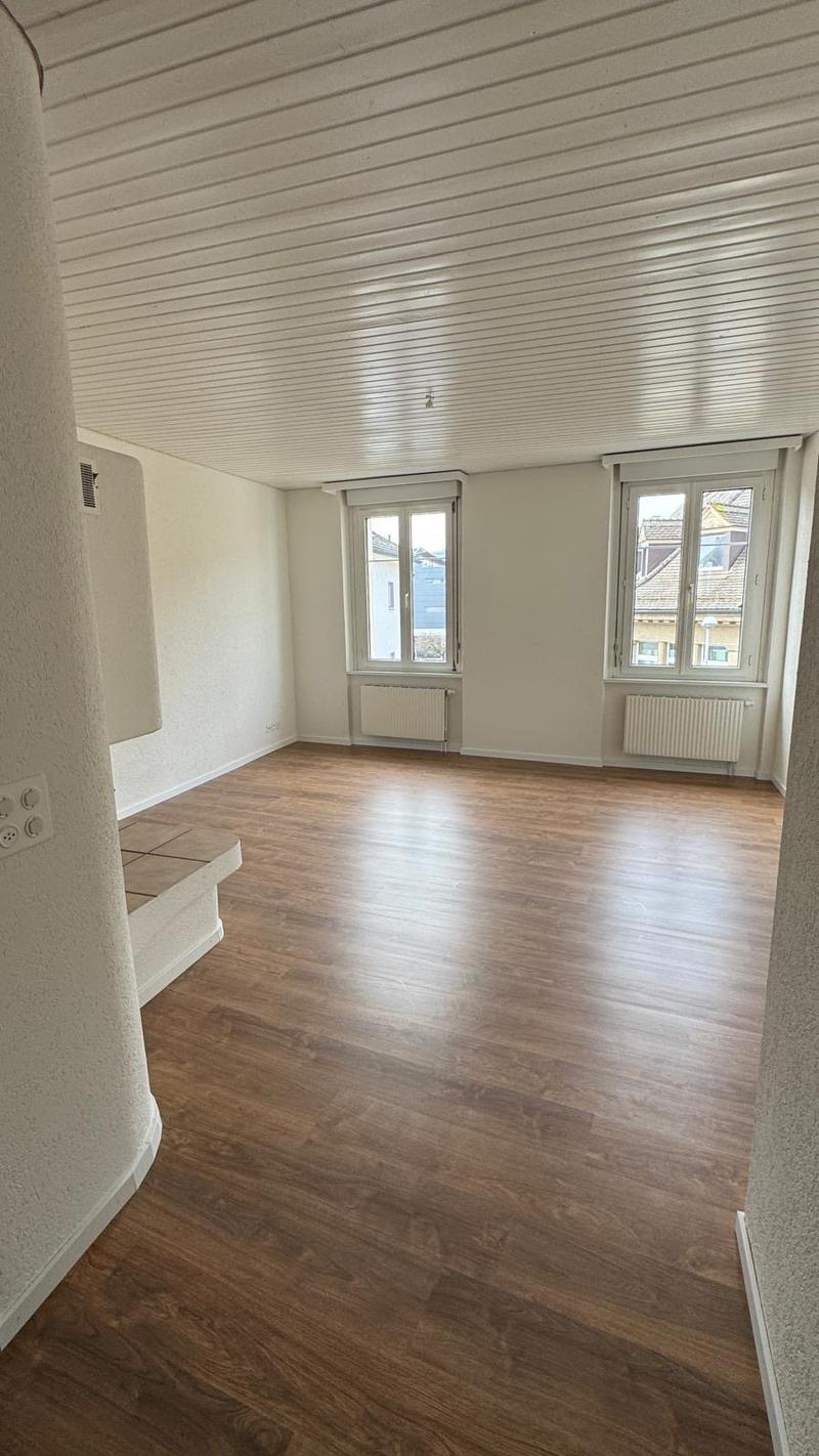 Renovierte 4.5-Zimmer-Wohnung mit Balkon an zentraler Lage (7)
