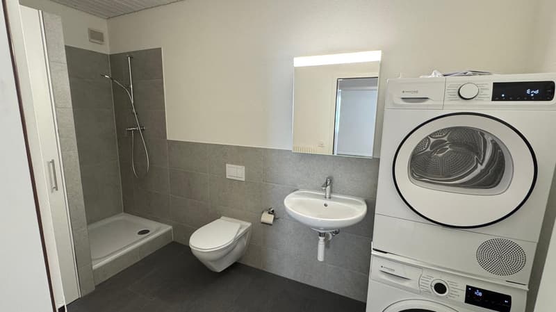 Renovierte 4.5-Zimmer-Wohnung mit Balkon an zentraler Lage (6)