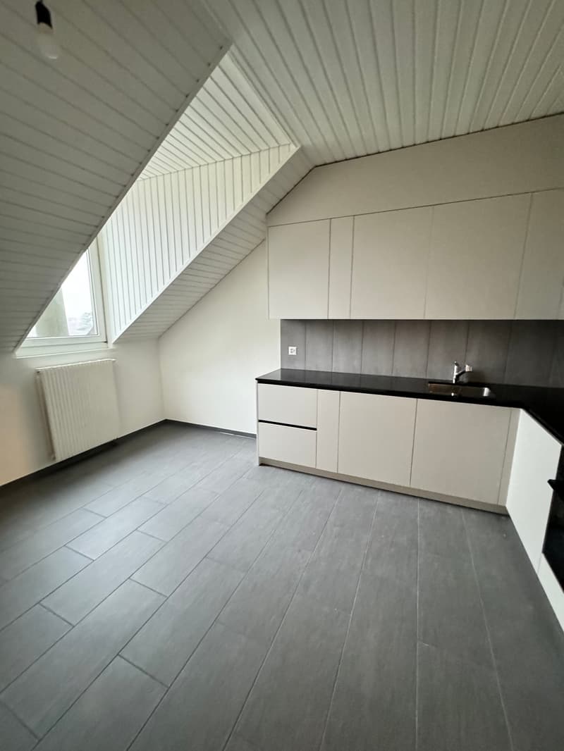 Renovierte 4.5-Zimmer-Duplex-Dachwohnung an zentraler Lage (2)
