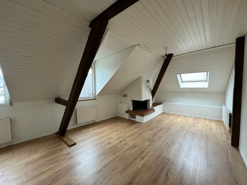 Renovierte 4.5-Zimmer-Duplex-Dachwohnung an zentraler Lage (3)