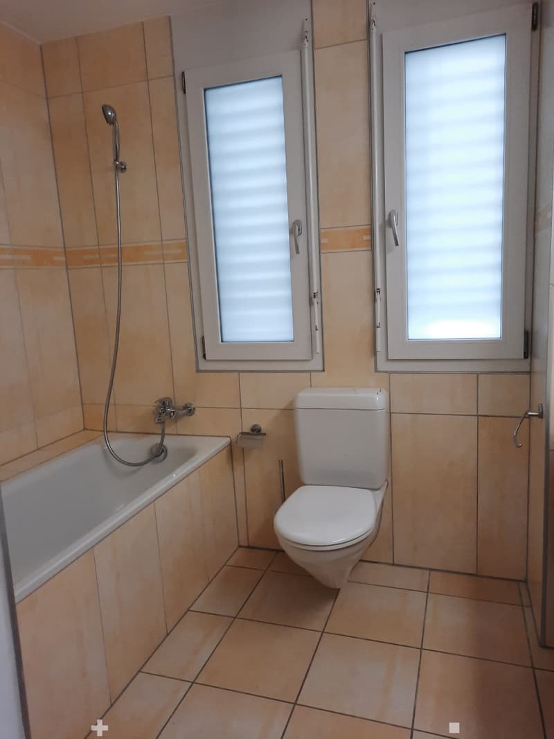 4.5-Zimmer-Gartenwohnung im Quartier Bahnweg (7)