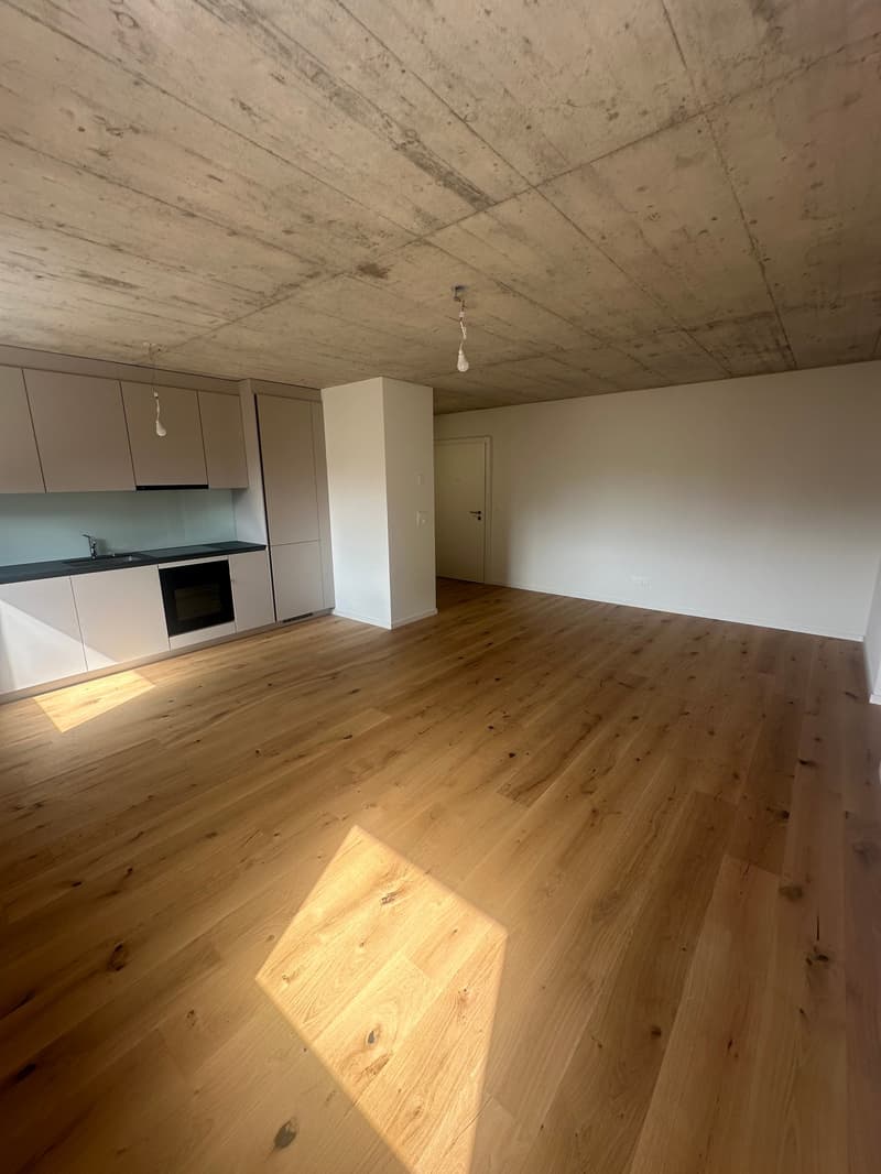 Neu ausgebaute 2.5-Zimmerwohnungen (2)