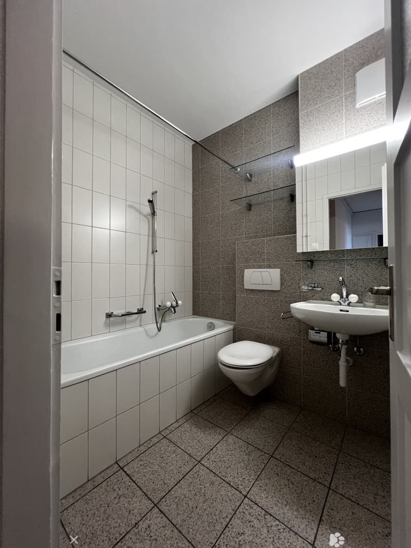 Renovierte 2.5-Zimmerwohnung im Zentrum (2)