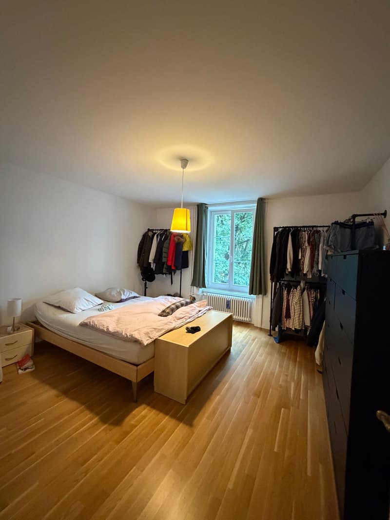 Appartement 3.5 pièces proche du centre (9)