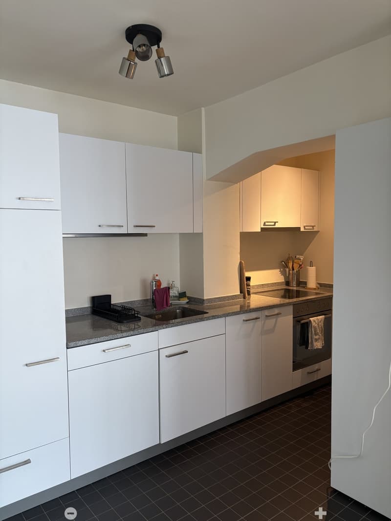 Helle 2-Zimmer-Loft an der Kontrollstrasse in Biel (5)