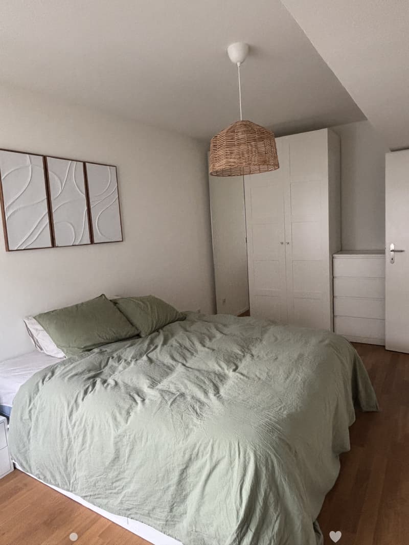 Helle 2-Zimmer-Loft an der Kontrollstrasse in Biel (3)
