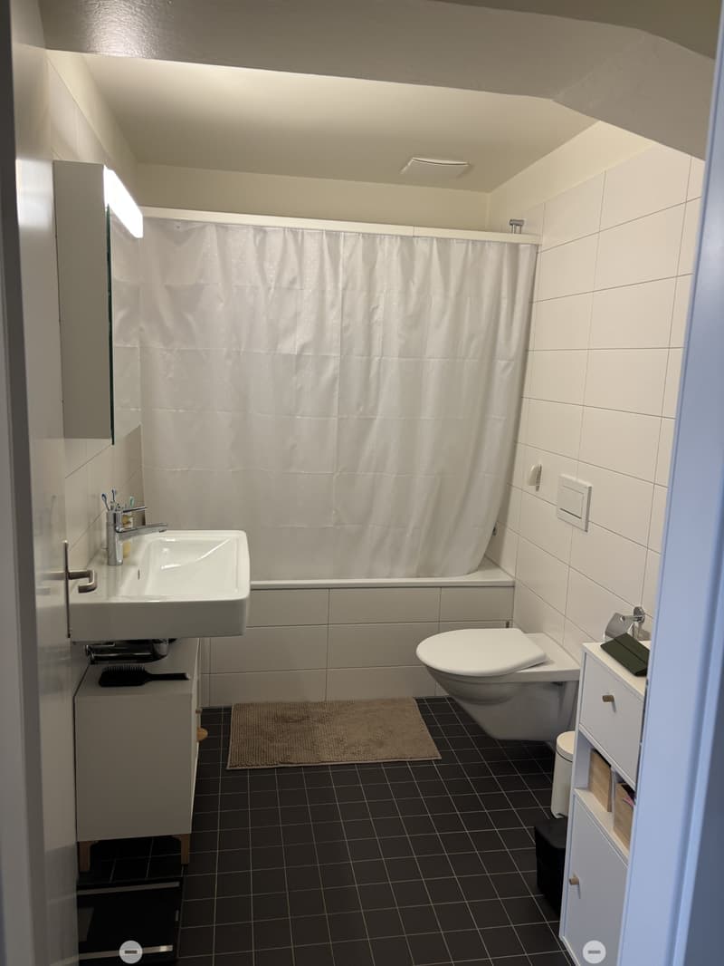 Helle 2-Zimmer-Loft an der Kontrollstrasse in Biel (6)