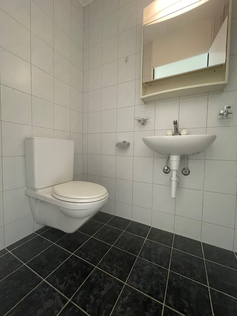Attraktive 3.5-Zimmer-Duplex-Wohnung (7)