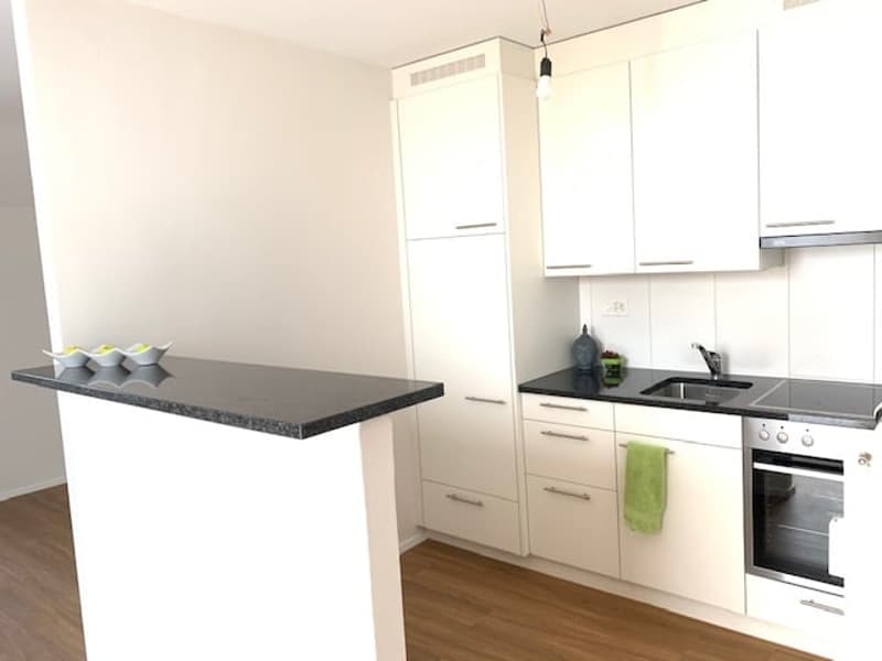 1.5 Zimmerwohnung in Nidau (2)