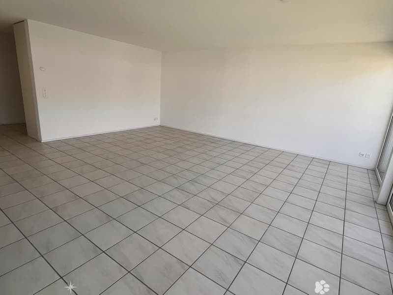 Helle 4-Zimmer-Wohnung mit Balkon und moderner Ausstattung in Biel (4)