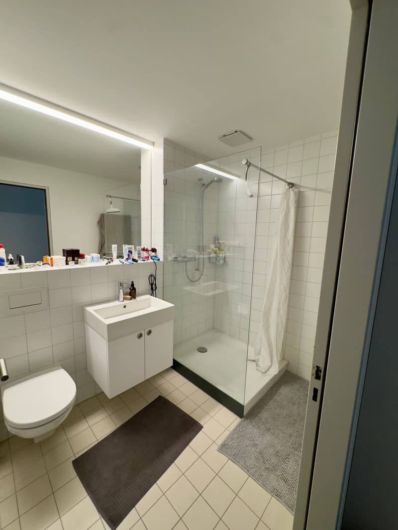 Charmante 2½-Zimmerwohnung im Herzen von Biel (8)