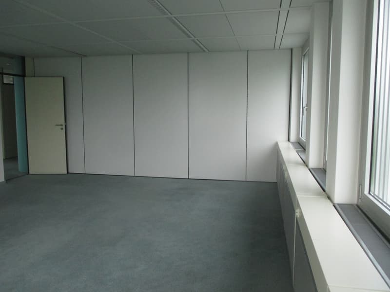 empty room, white walls, gray carpet, two doors, large windows, open space