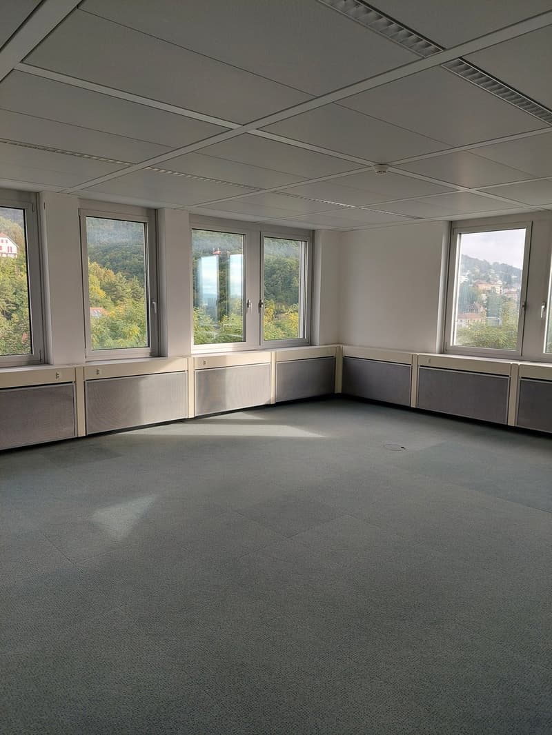 Large open room, carpeted floor, white walls, large windows with view of trees and mountains, metal air vents