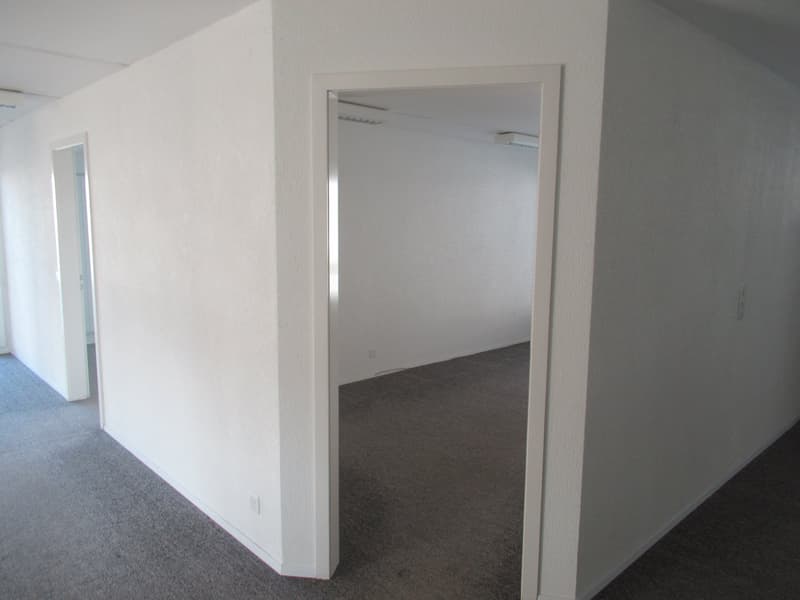 An empty office with white walls, gray carpeted floor, and three doors visible.