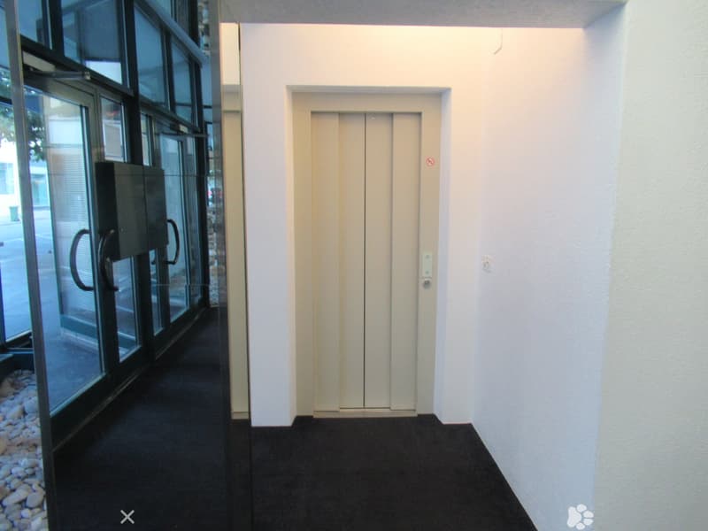 Glass doors leading to entrance hall, elevator, white walls, black carpet, sliding glass doors