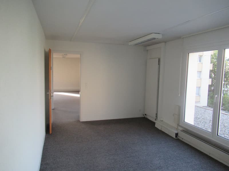 Empty room, white walls, gray floor, open door, ceiling lamp, glass door leading to a gravel area