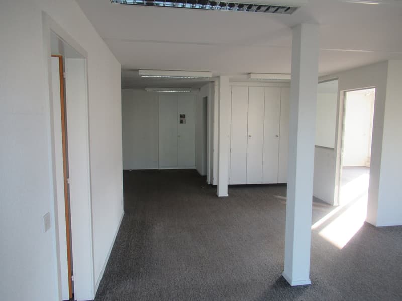 empty room, carpeted floor, white walls, fluorescent ceiling lights, closets, power outlet