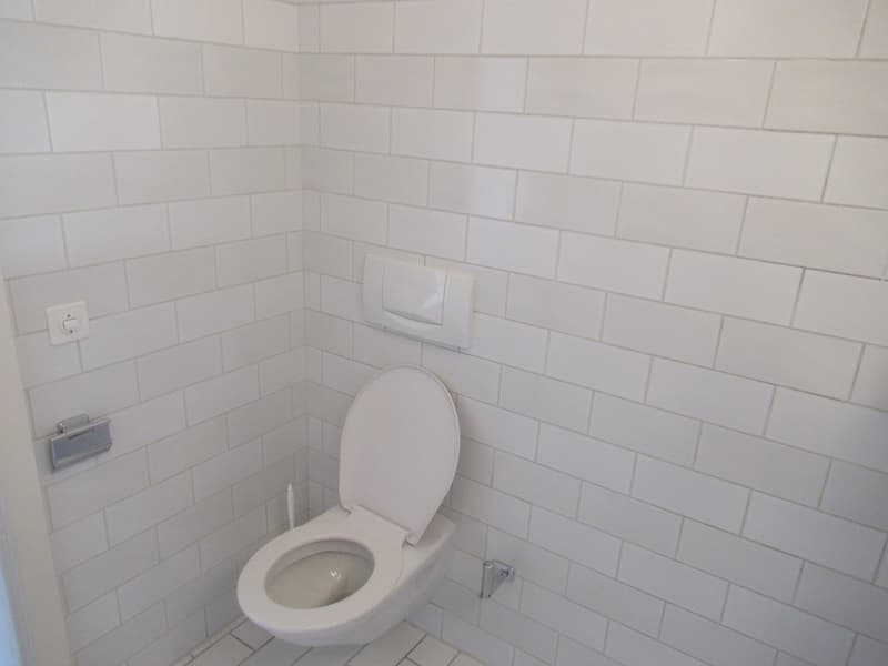 white tiled walls, modern white toilet with seat up, white tiles floor