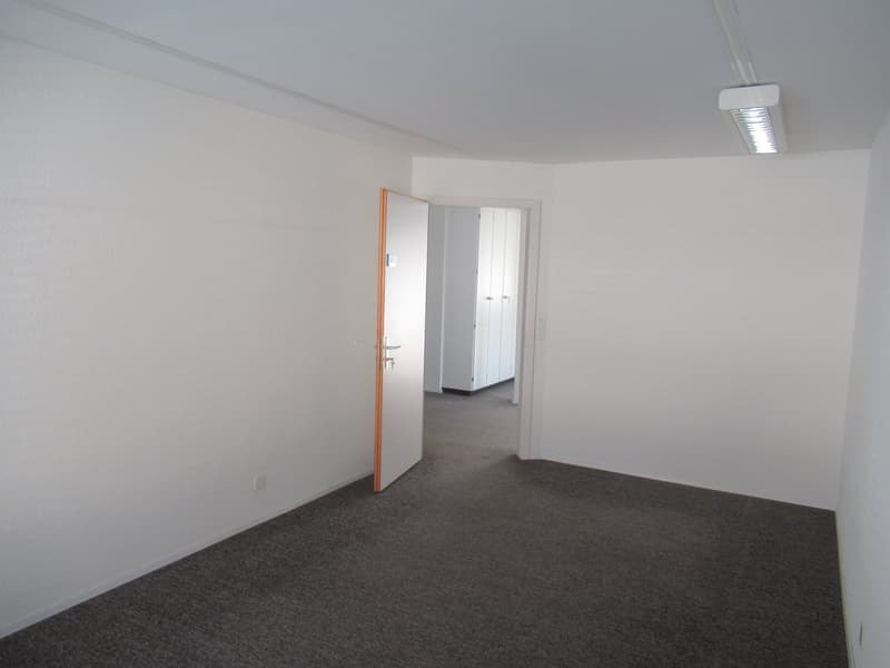 empty room, white walls, gray carpet, open door, hallway, white ceiling, power outlet, light fixture