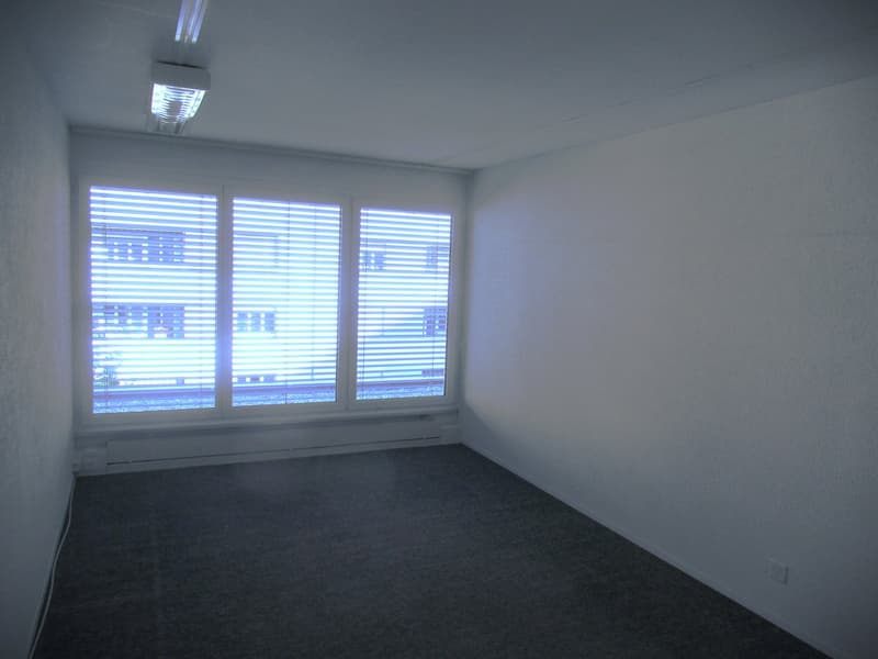 Blank room with windows, floor and ceiling lamps, empty
