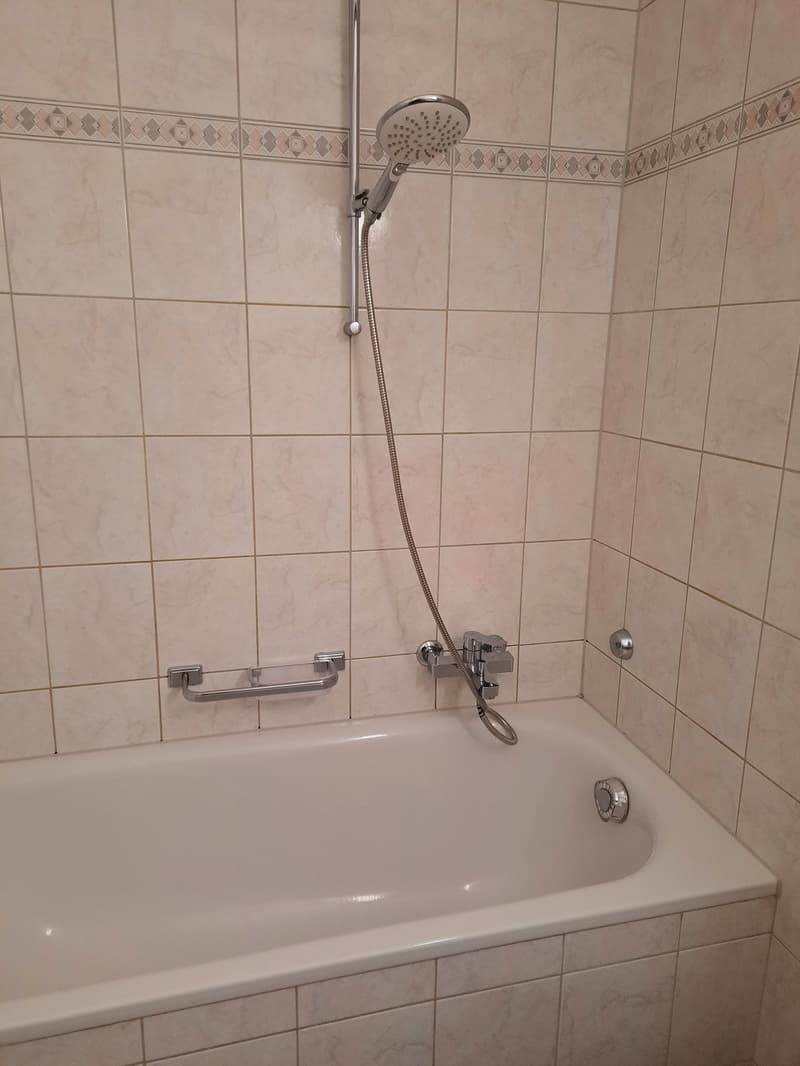 Lengnau - Wohnen im Grünen an ruhiger Lage (7)