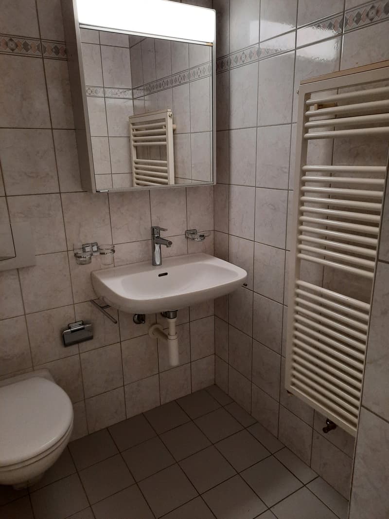 Lengnau - Wohnen im Grünen an ruhiger Lage (6)