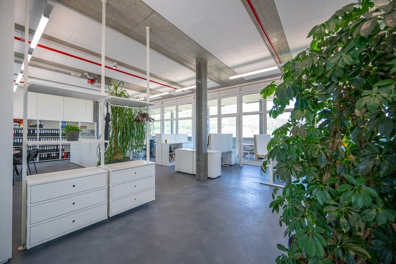 Espace de bureau avec grande terrasse sur le toit (2)