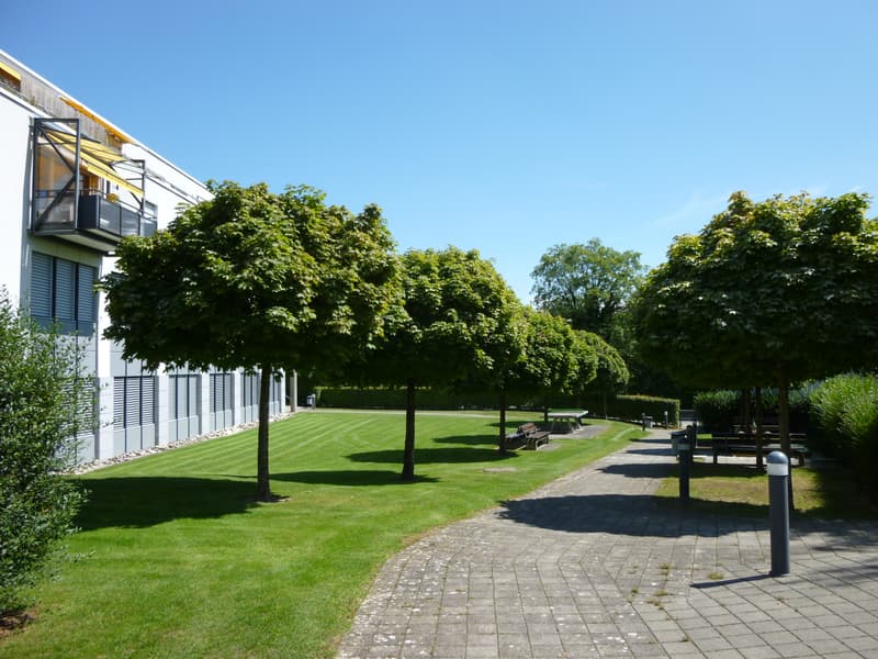 Rötipark Gehweg
