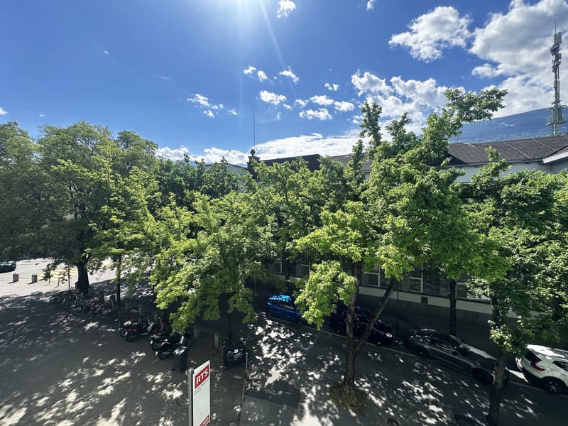 Sion – Magnifique appartement de 4.5 pièces en cours de rénovation au cœur de la ville (11)