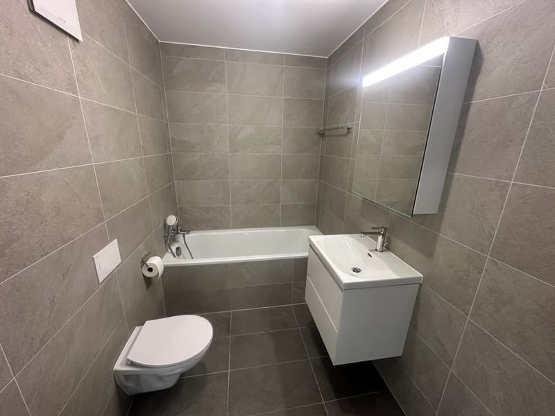 Uvrier / Sion – Studio neuf avec place de parc intérieure (7)