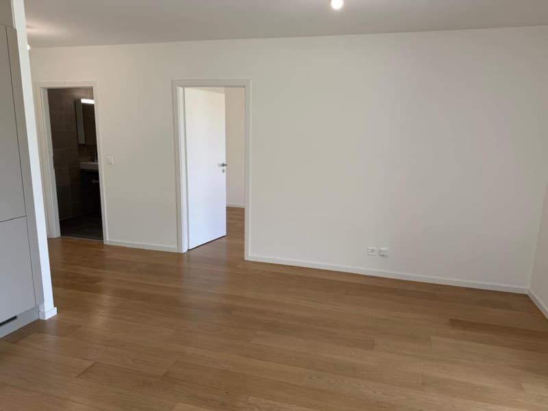 Uvrier / Sion – Magnifique appartement neuf de 2.5 pièces avec terrasse et place de parc (4)