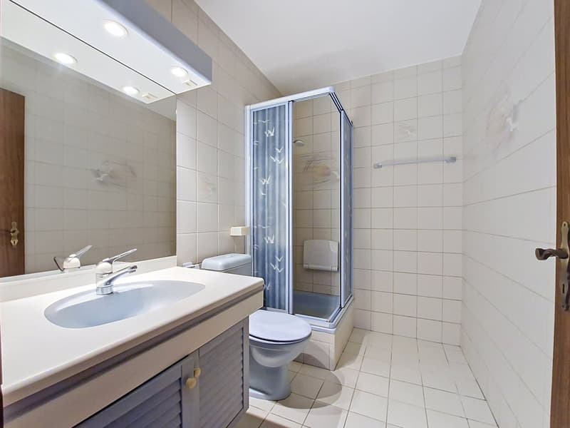 Sion – Bel appartement de 4,5 pièces à deux pas du quartier du Ritz, avec garage et place de parc (20)