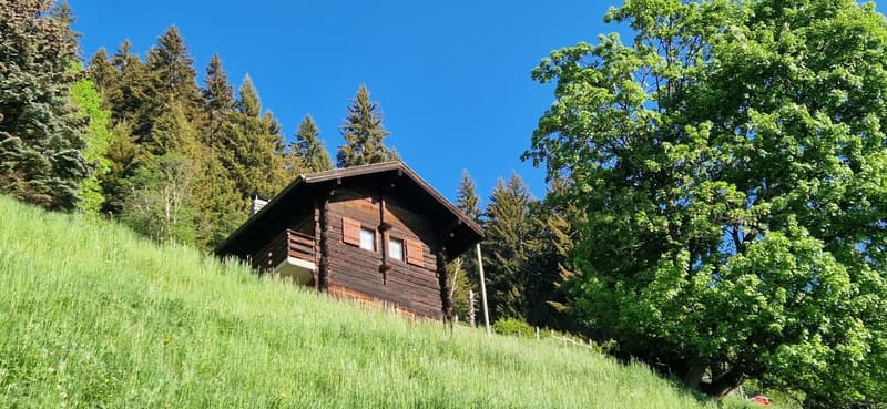 Hérémence, chalet, mayen coup de cœur de 67 m2 aux Collons en pleine nature proche des pistes de ski (16)