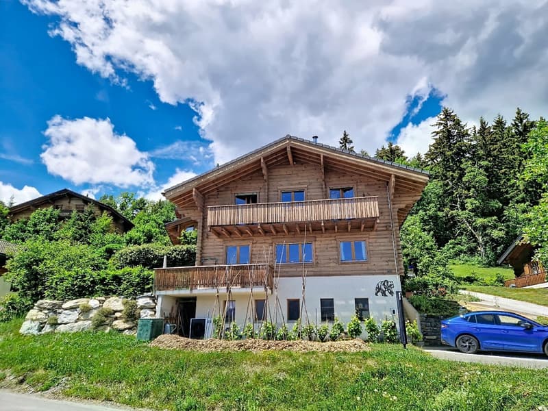 Arbaz, chalet de 5.5 pièces de 175 m2 avec garage et places de parc (22)