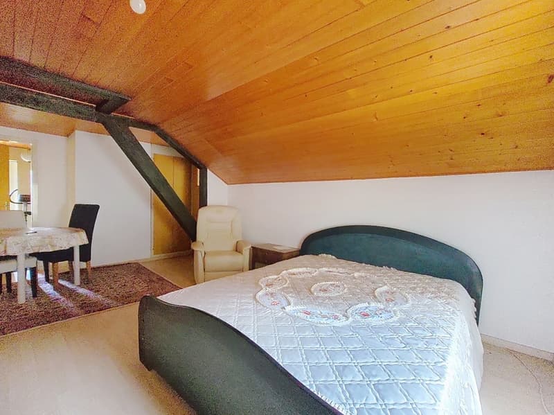 Pramagnon, maison familiale de 230m2 avec pelouse et places de parc extérieures (14)