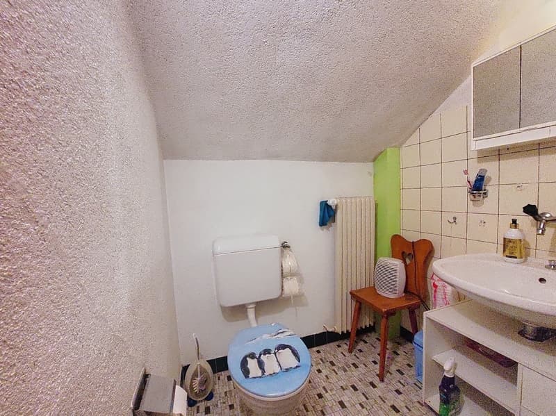 Grône, Pramagnon, parcelle de 1'567 m2 avec charmante maison familiale et une grange sans vis-à-vis (19)