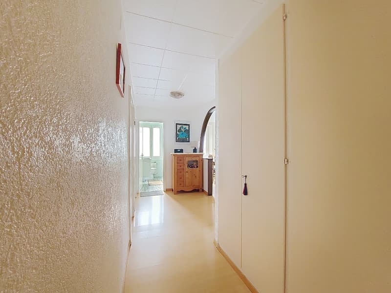 Grône, Pramagnon, parcelle de 1'567 m2 avec charmante maison familiale et une grange sans vis-à-vis (9)