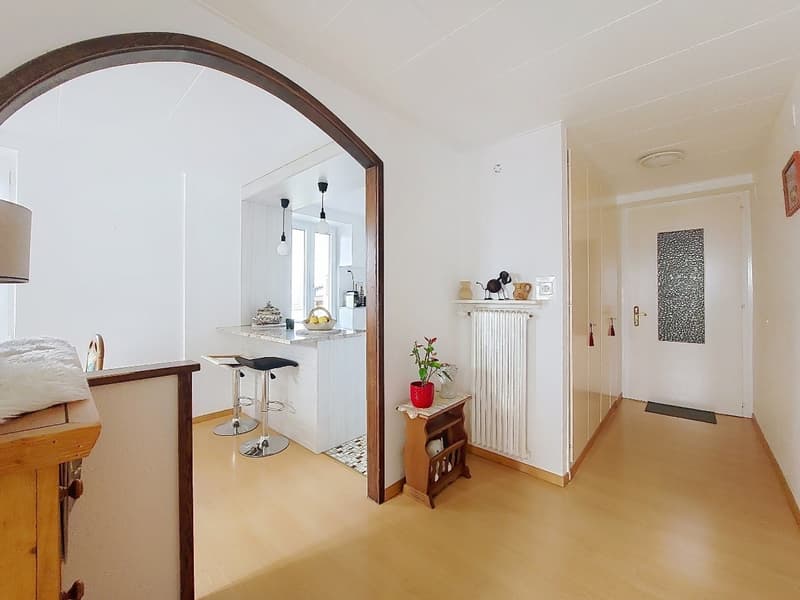 Grône, Pramagnon, parcelle de 1'567 m2 avec charmante maison familiale et une grange sans vis-à-vis (8)