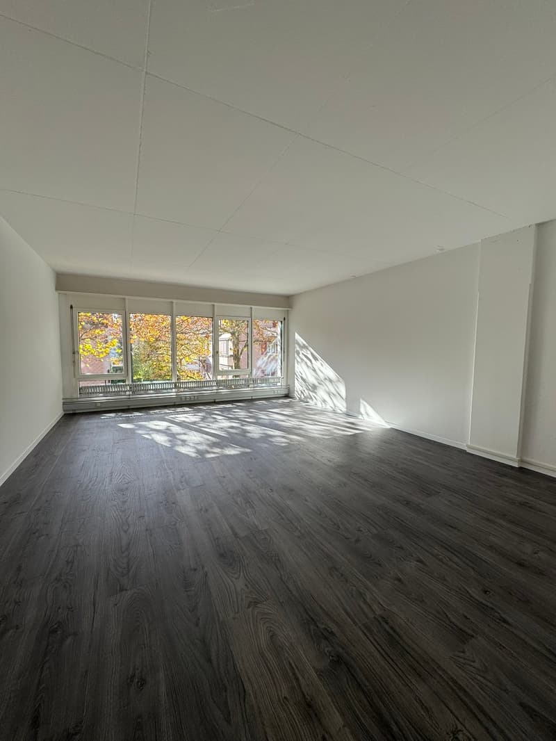 Empty room with white walls, wooden floor, large windows with view of trees outside