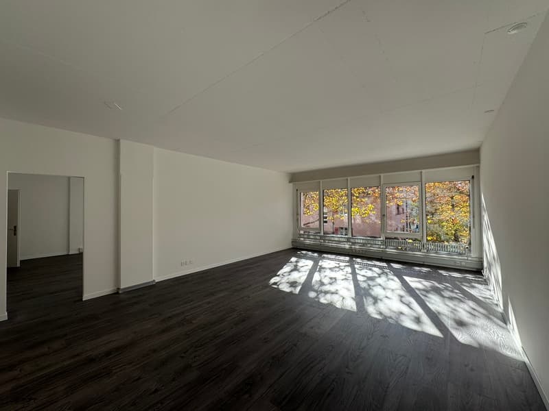 empty room, white walls, wooden floor, large windows, sunlight