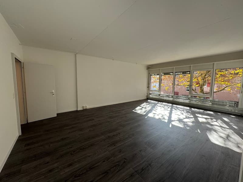 empty room, white walls, wooden floor, large windows, sunlight